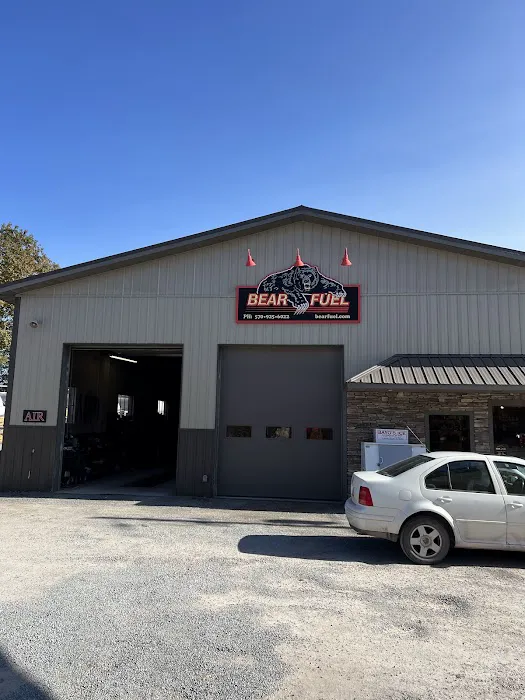 Bear Fuel Services Inc. 0