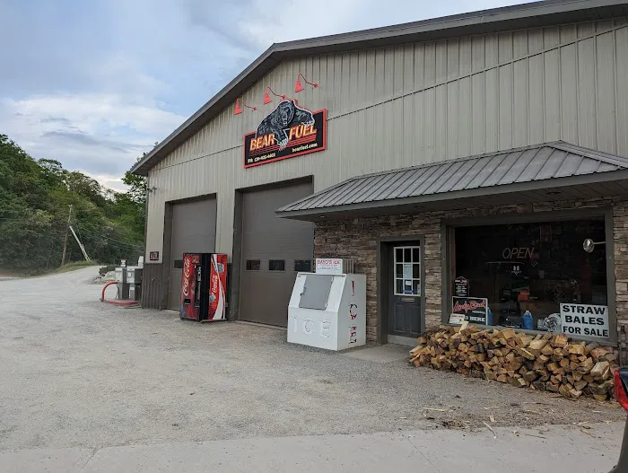 Bear Fuel Services Inc. 3