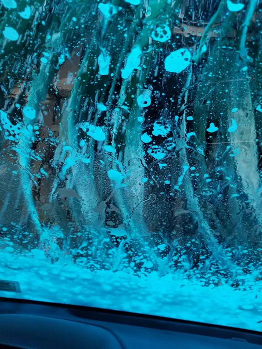 Iguana Wanna Carwash 5