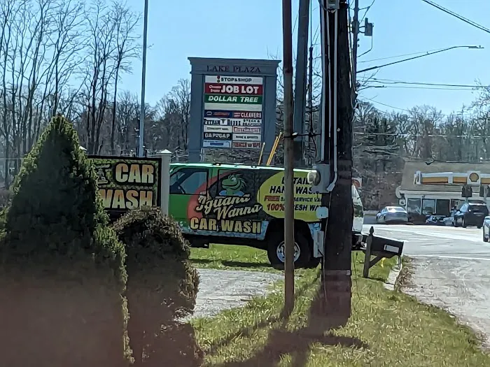 Iguana Wanna Carwash 4