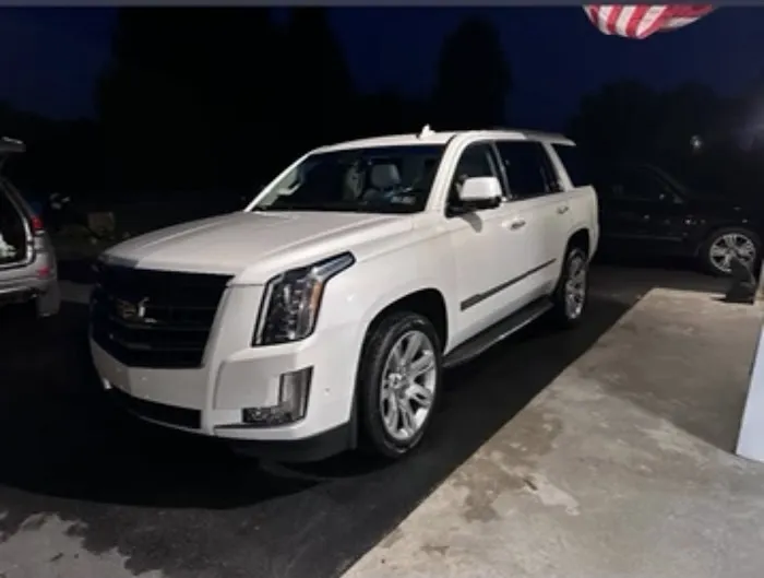 NoLackDetailing 7