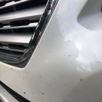 Egan Car Wash