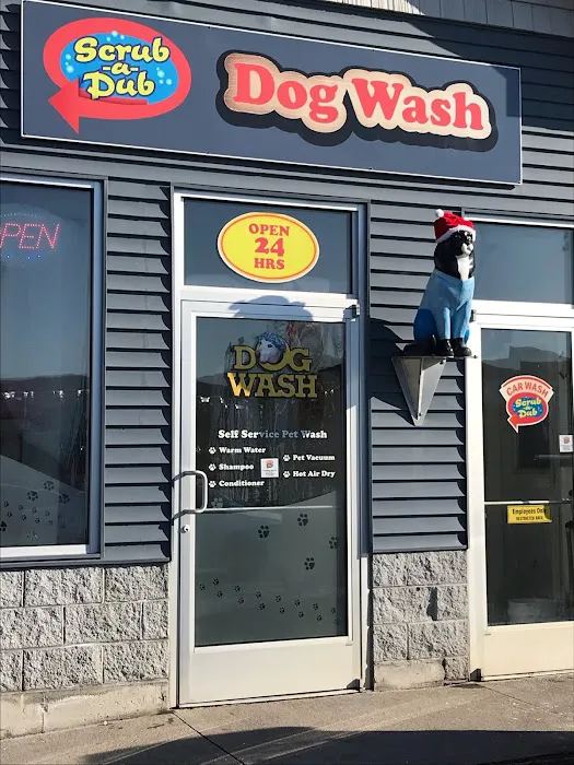 Scrub Co Car Wash 8