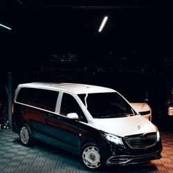 White Swan Auto Spa | Premier Auto Detailing & Collision Center ico