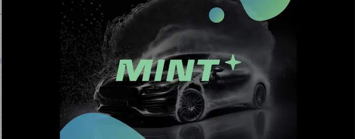 MintWash™ Manhattan 3