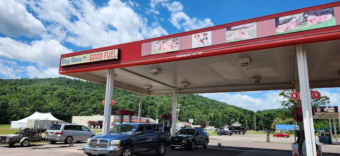 DOG GONE GOOD FUEL 8