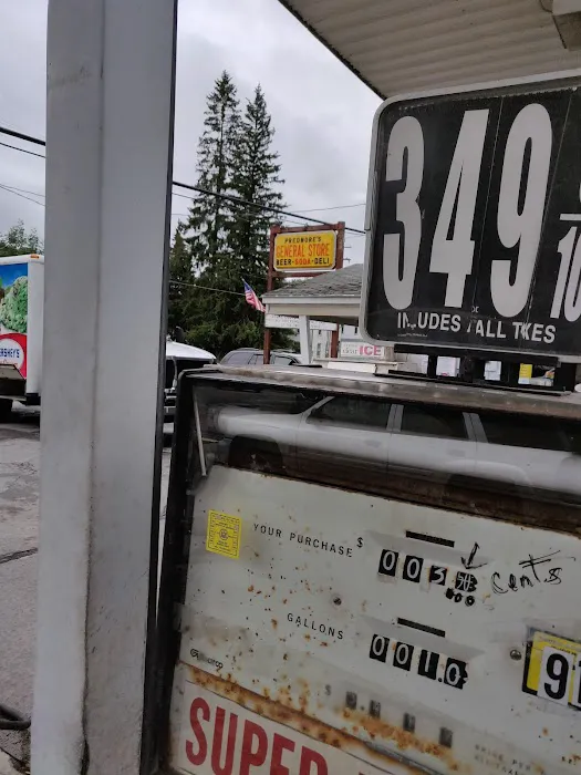 Predmore's General Store LLC 3