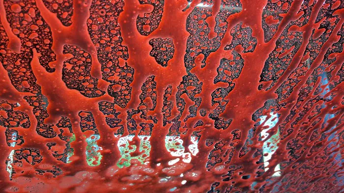 Showa Car Wash and Detailing Center 2