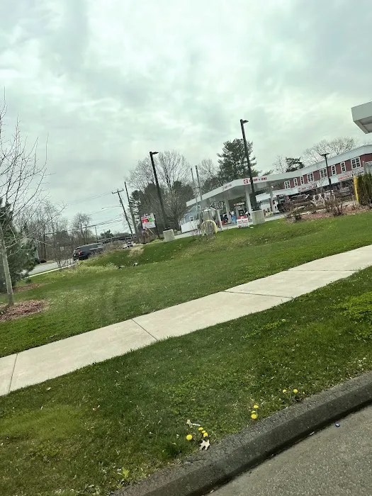 Dairy Plus Gas 1