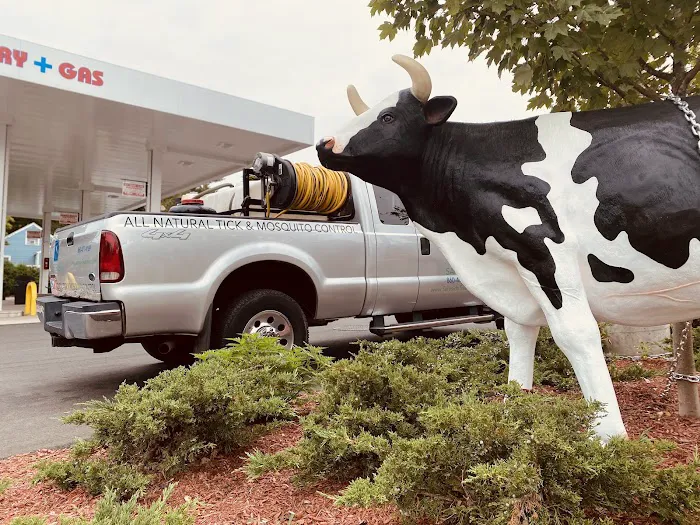 Dairy Plus Gas 7