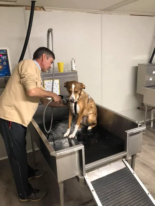 Neffsville Car & Dog Wash 4