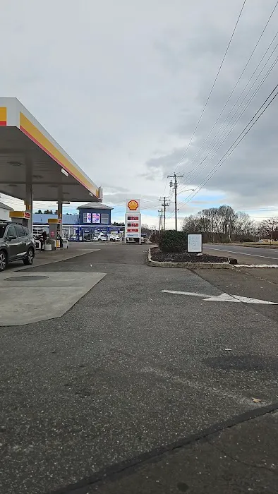 Shell 1