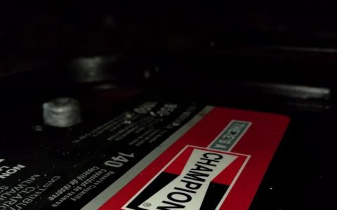 Newtown Square Liberty