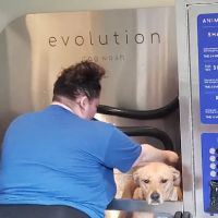 Tidal Wave Car Wash & Wagging Tails Dog