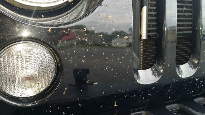 Wet Willy's Car Wash 4