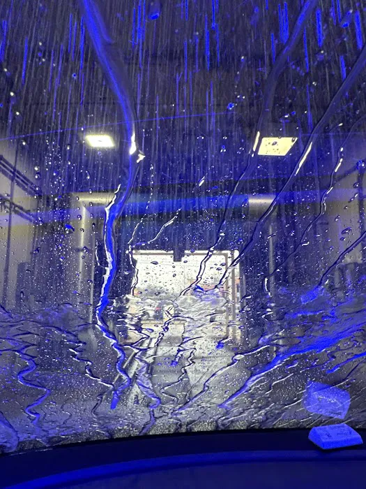 Bud’s Car Wash Bel Air 1
