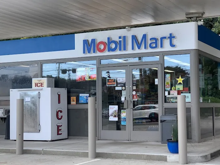 Mobil 1