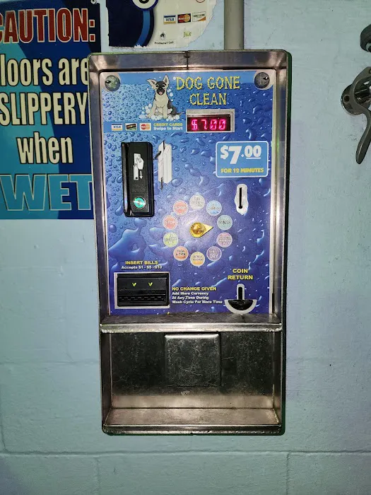 Dog Gone Clean Car and Pet Wash 8