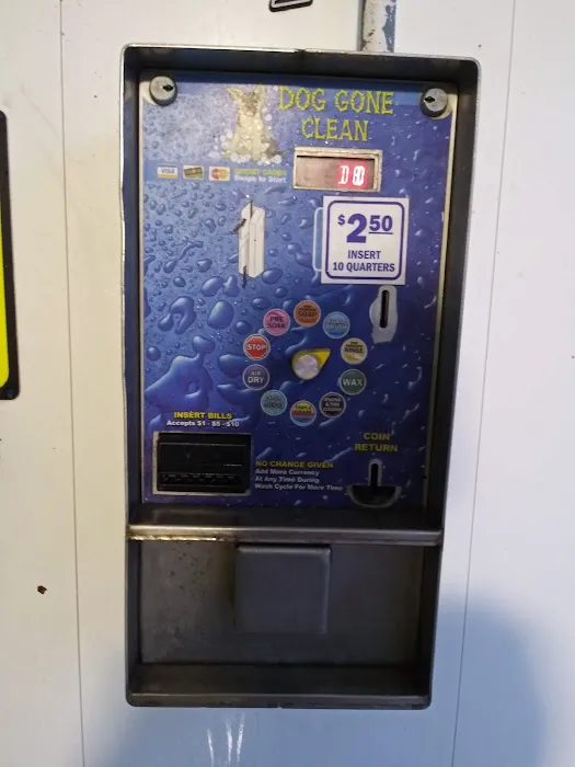 Dog Gone Clean Car and Pet Wash 9