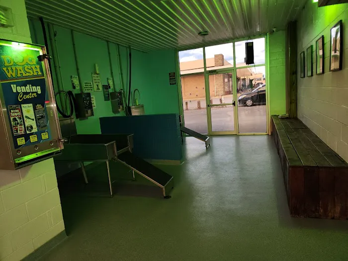 Dog Gone Clean Car and Pet Wash 4