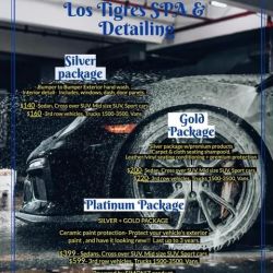 Tigre detailing ico