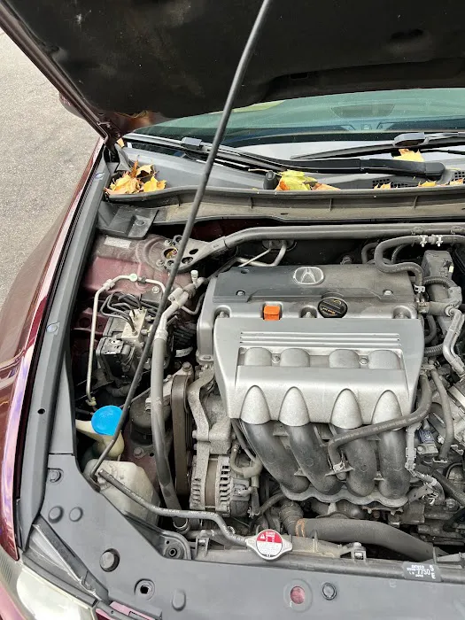 Tigre detailing 1