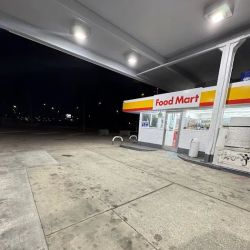 Shell ico