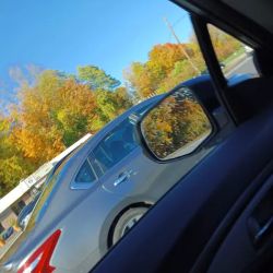 Golden Nozzle Car Wash ico