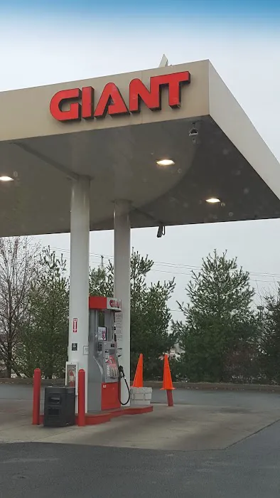 Giant Gasoline 5