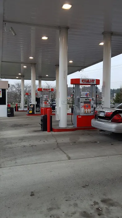 Giant Gasoline 0