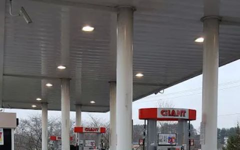 Giant Gasoline