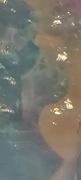 RTNC Auto Wash 1