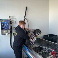 Loganville Car Wash