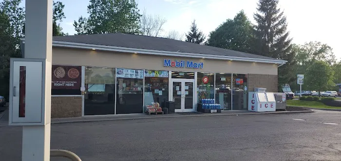 Mobil 1