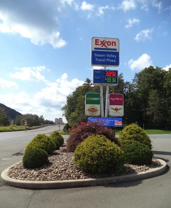 Steam Valley Travel Plaza / Exxon gas station 3