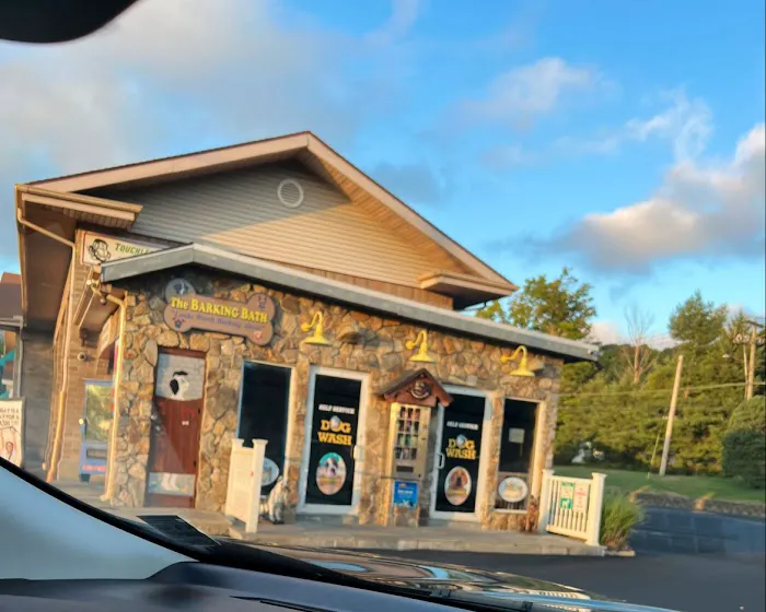 Buggy Car Wash and The Barking Bath 3