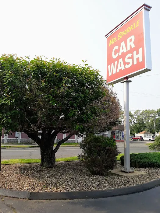 Mr Sparkle Car Wash 7