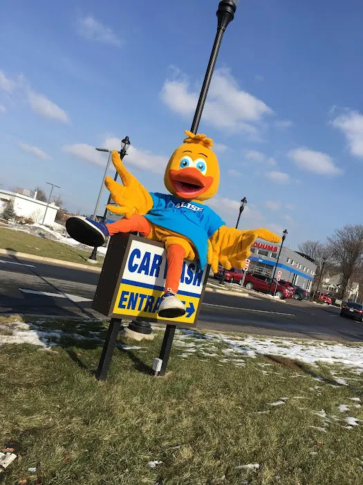 Flash Car Wash 5