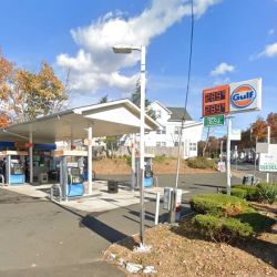Gulf Gas ico