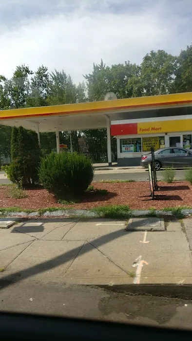 Shell 2