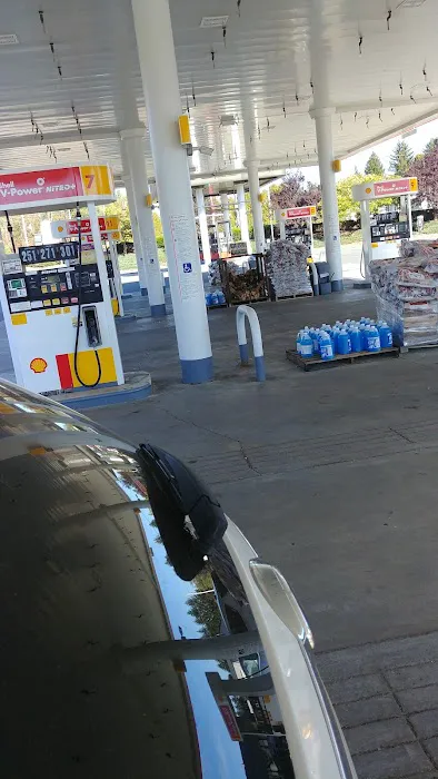 Shell 6