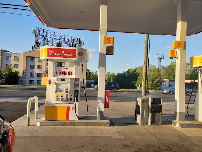 Shell 7