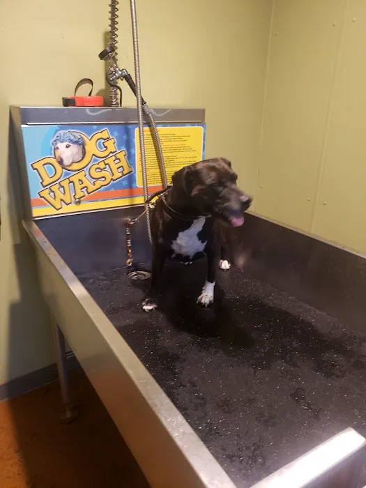 Wag N Wheel Wash Self Serve Car Wash & Pet Wash. 1