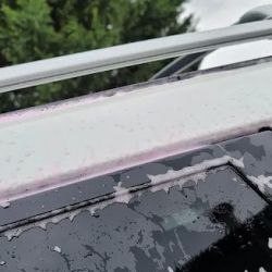 Grandview Carwash ico