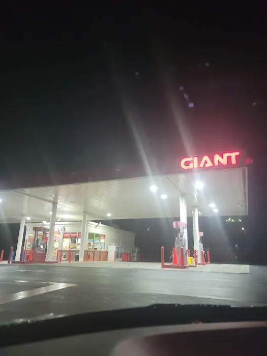 Gas Station - Giant 2