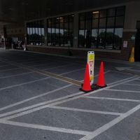 Giant Gasoline