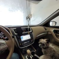 Splish Splash Carwash