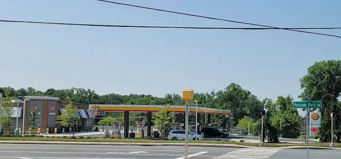 Shell 1