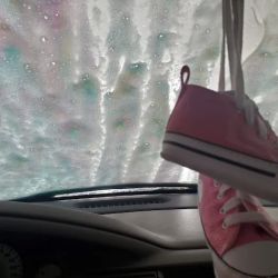 Bald Eagle Car Wash ico