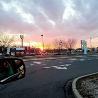 Carroll Motor Fuels